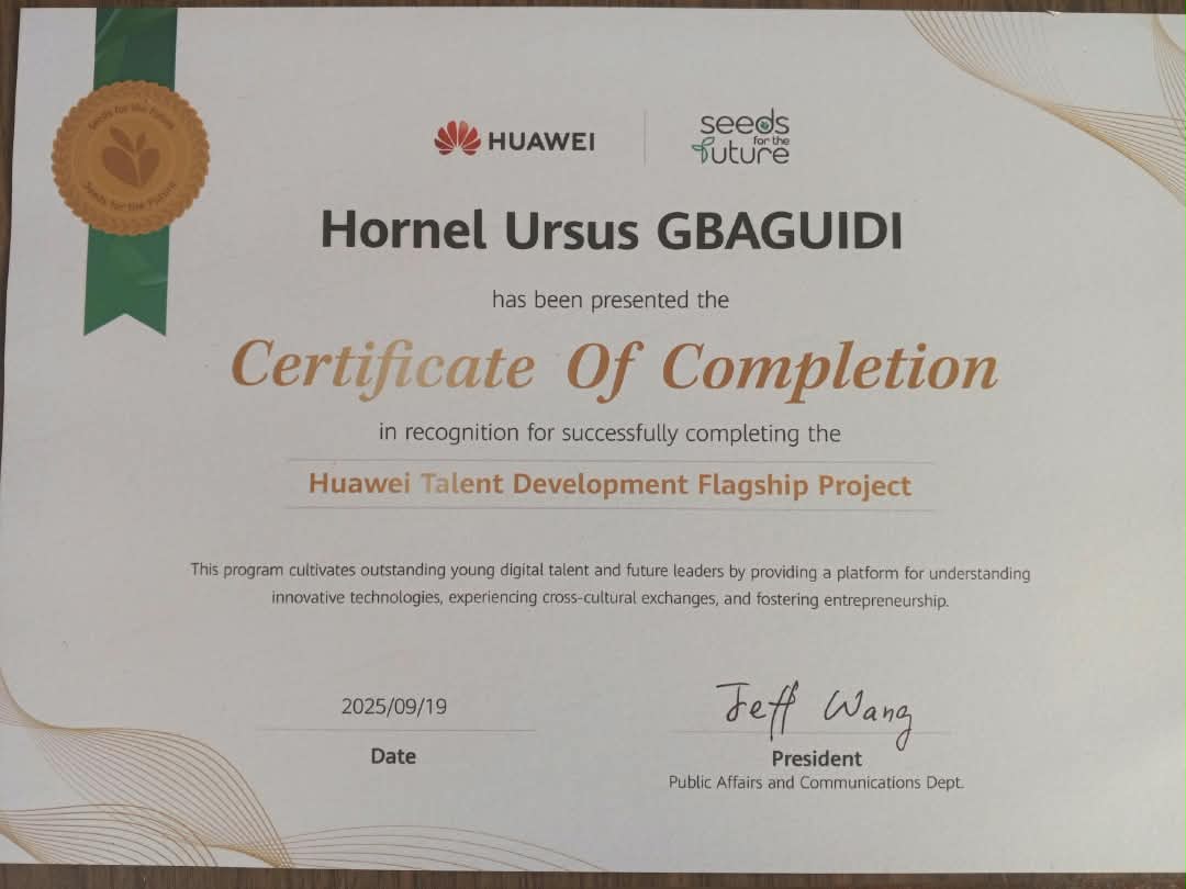 Certificate of Completion Huawei Seeds for the Future 2025